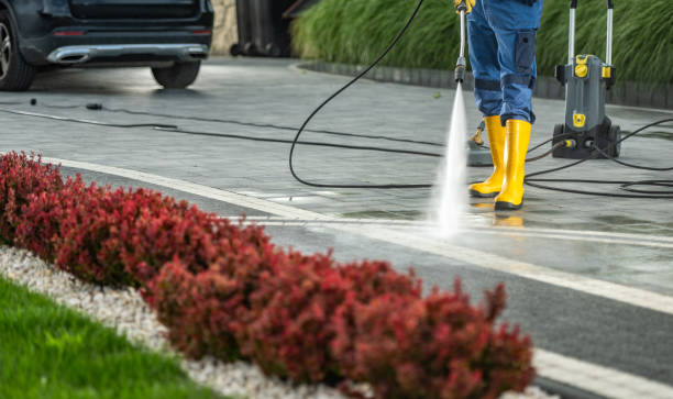 Best Roof Power Washing Services  in , VT